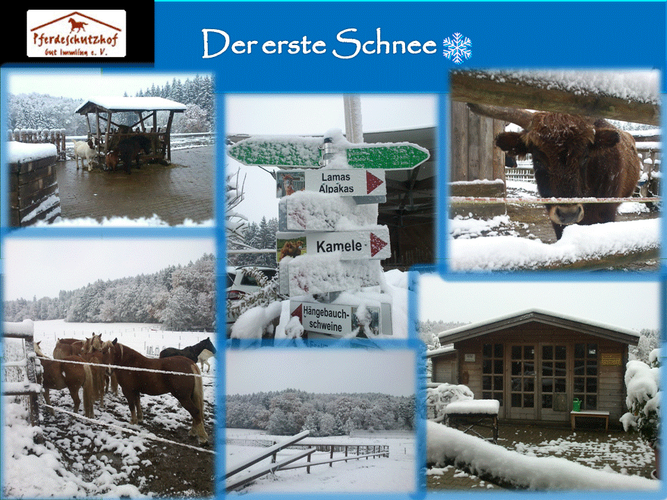 Der erste Schnee