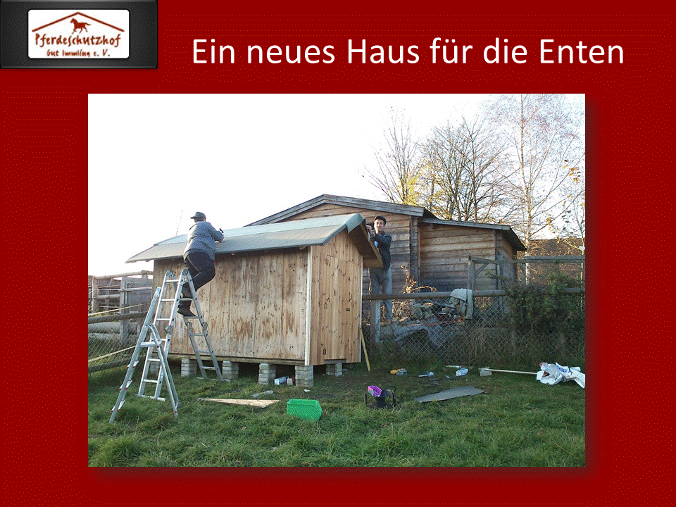 Entenhaus Entenhaus