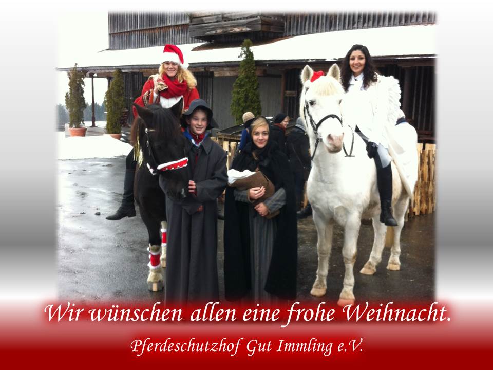 Gut Immling Weihnachten