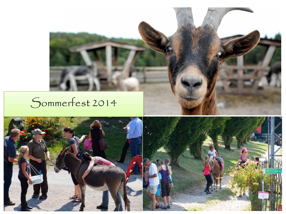 Sommerfest 2014 Sommerfest 2014