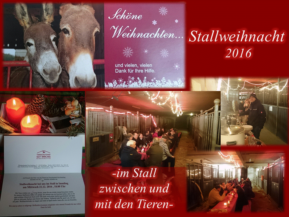 Stallweihnacht Stallweihnacht
