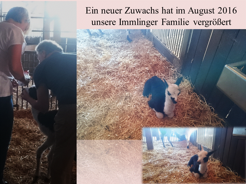 Zuwachs Zuwachs