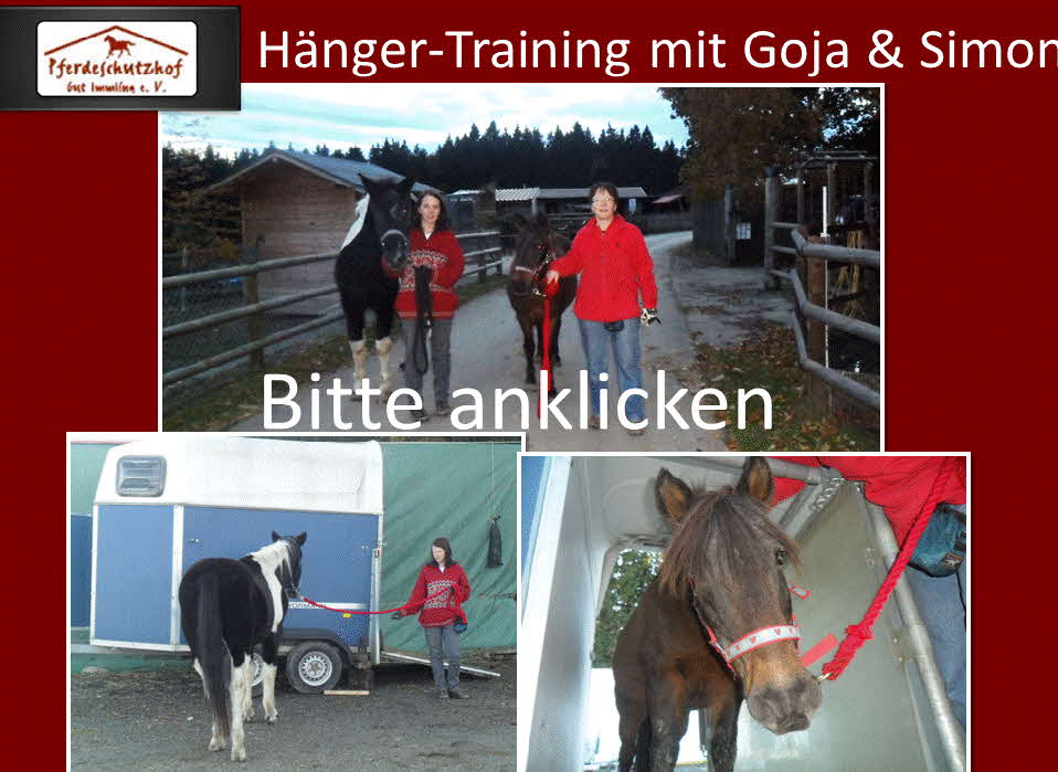Hänger-Training mit Goja und Simon Hänger-Training mit Goja und Simon