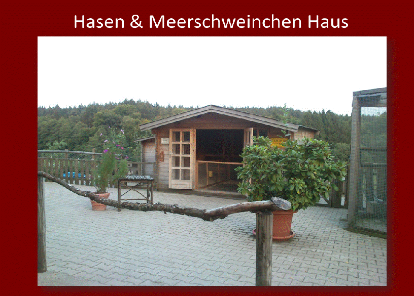 Hasen & Meerschweinchen Haus