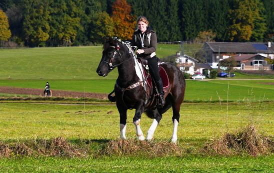 Julia Guntersberg